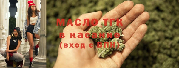 spice Богородицк