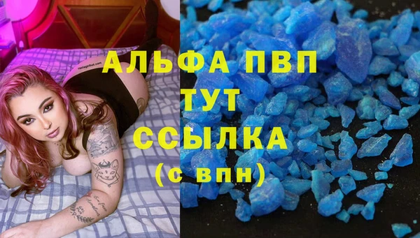spice Богородицк