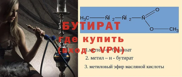 амф Снежногорск