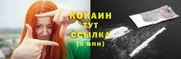 spice Богородицк