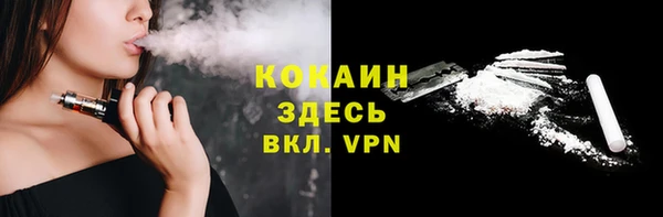 spice Богородицк