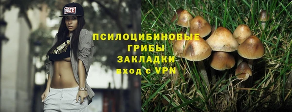 ALPHA PVP Богородск