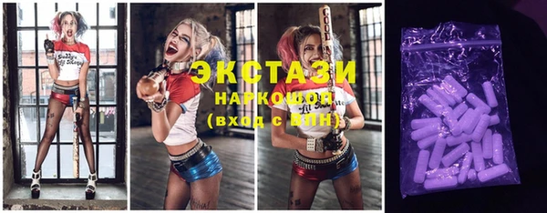 spice Богородицк