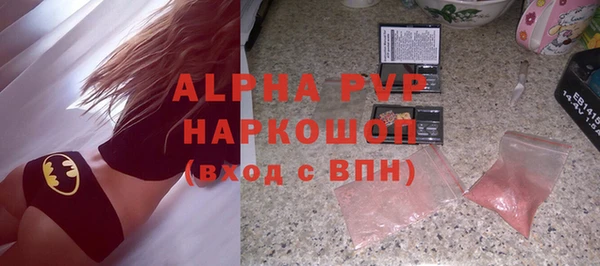 spice Богородицк