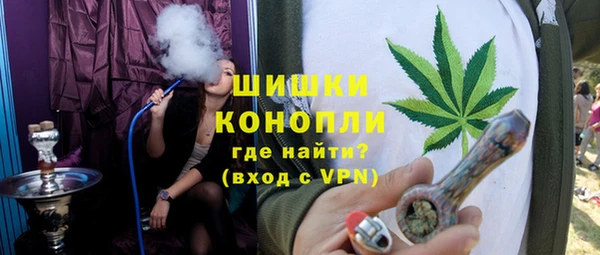spice Богородицк