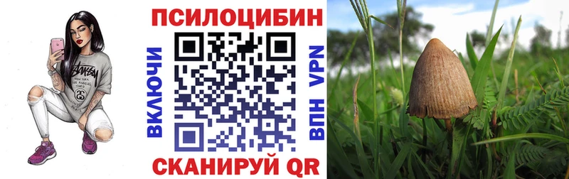 Псилоцибиновые грибы прущие грибы где купить наркоту Тосно